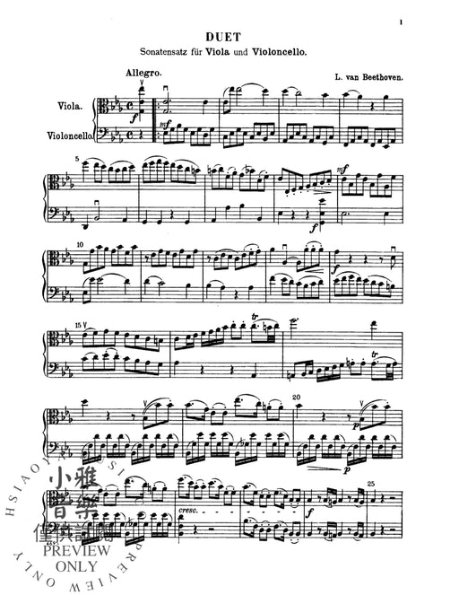 Duet for Viola and Cello 貝多芬 二重奏 中提琴 大提琴 | 小雅音樂 Hsiaoya Music