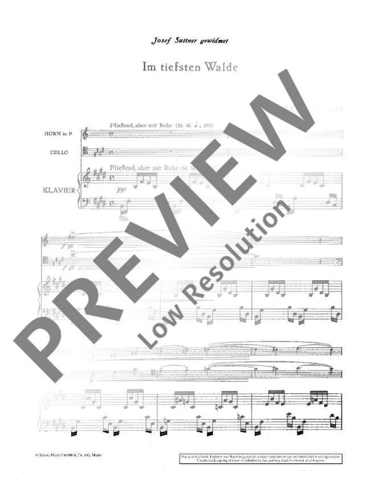 Im tiefsten Walde op.34/4 法國號 (含鋼琴伴奏) 朔特版 | 小雅音樂 Hsiaoya Music
