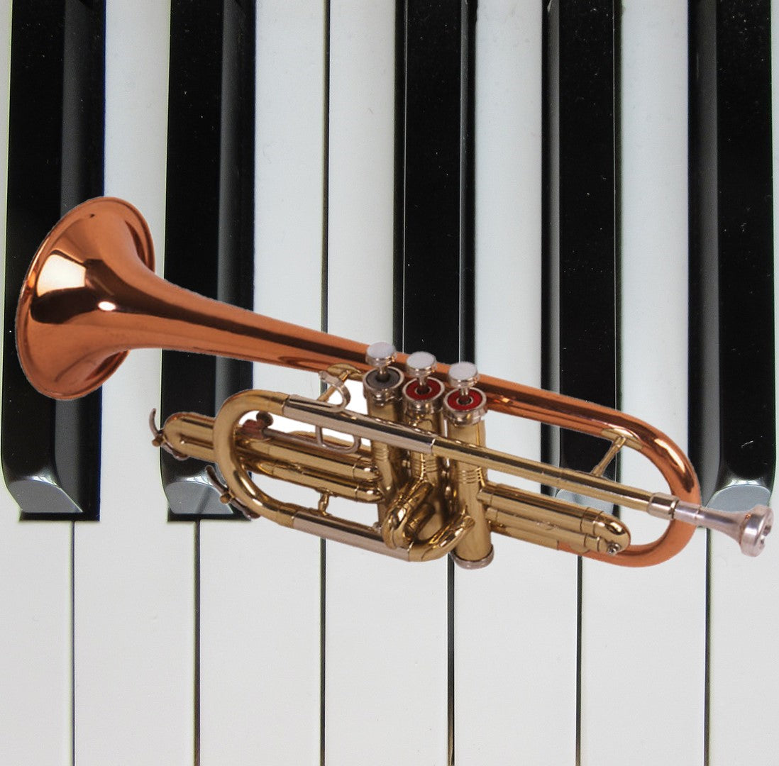 小號 (含鋼琴伴奏)