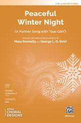 Peaceful Winter Night