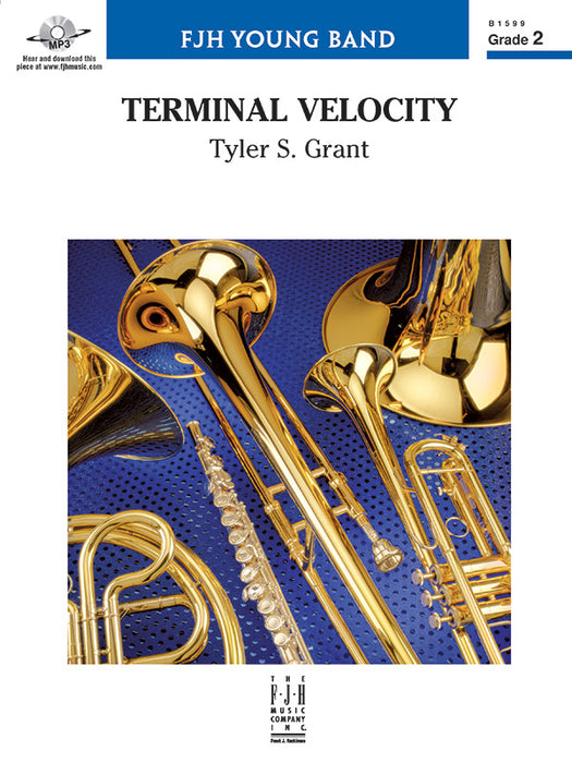 Terminal Velocity