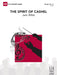 The Spirit of Cashel
