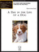 A Day in the Life of a Dog