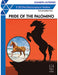 Pride of the Palomino