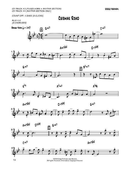 Jazz Trumpet Etudes Played by Wayne Bergeron