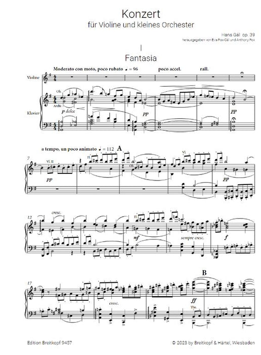 Violin Concerto op. 39 op. 39