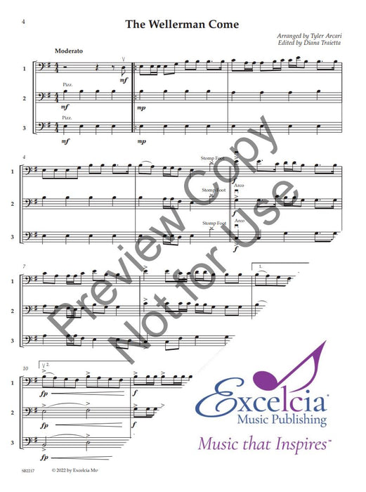 Adaptable Sea Shanties 16 Trios for Any Combination of String Instruments