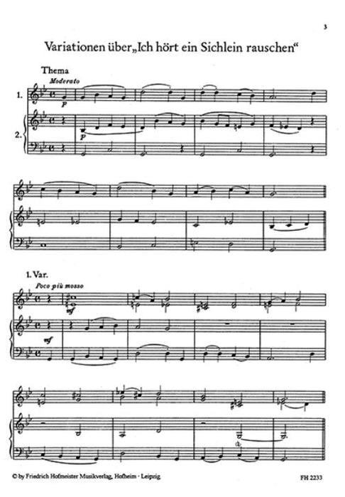 Variationen über Volkslieder