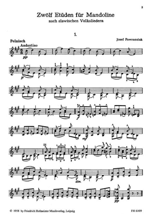 Zwölf Etüden nach slawischen Volksliedern