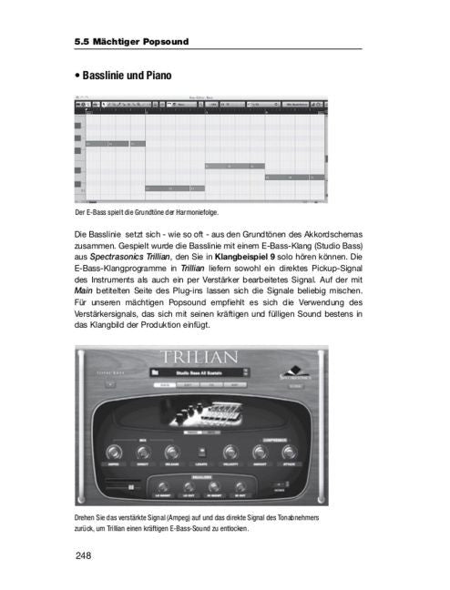 Moderne Musikproduktion in der Praxis Die besten Tipps und Tricks für Produzenten von Pop, Dance und Hip Hop