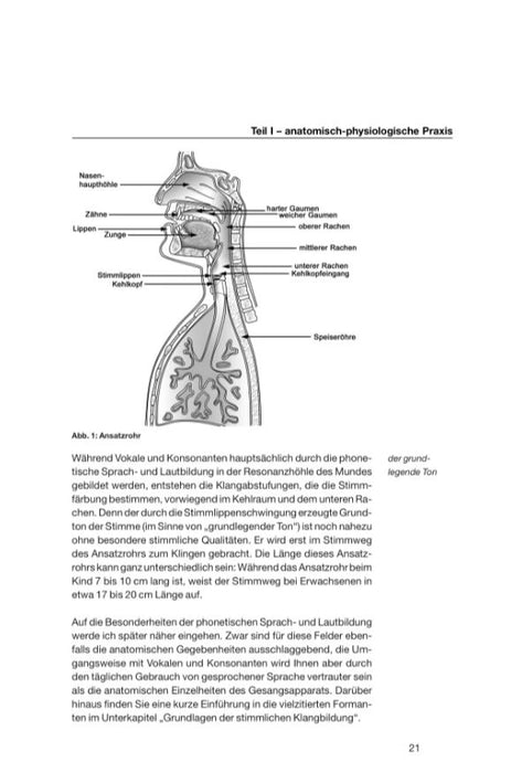 Background Vocals Grundlagen für Probe, Bühne und Studio