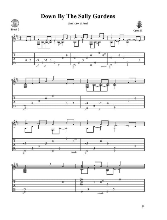 Lapsteel Gitarre Songs und Techniken für Fortgeschrittene