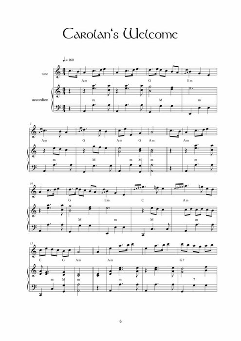 Irish Music Duets Accordion Meets Accordion