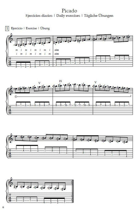 Flamenco Guitar Technic Vol. 2 Vol. 2 Picados-Escalas-Ligados Vol. 2