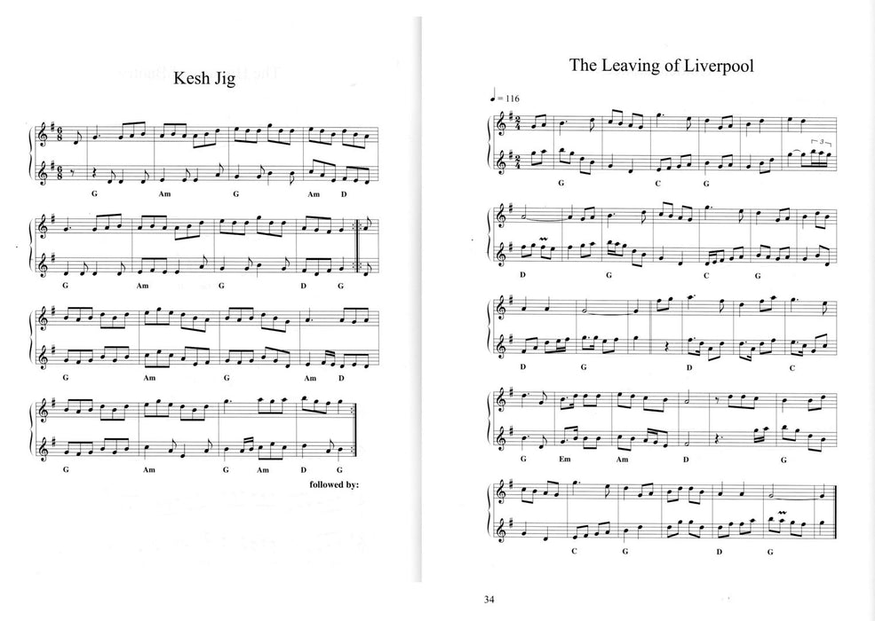 Irish Session Tunes Reels, Jigs, Hornpipes for Solo, Duet or Band