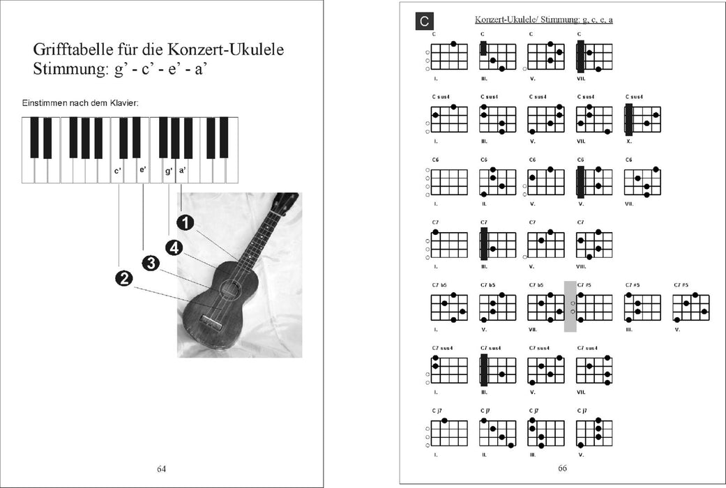 Das große Ukulele Handbuch