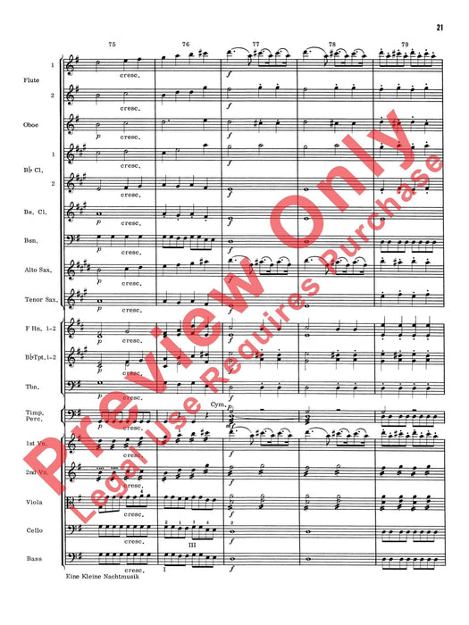 Eine Kleine Nachtmusik (First Movement -- Abridged) 莫札特 弦樂小夜曲樂章 | 小雅音樂 Hsiaoya Music