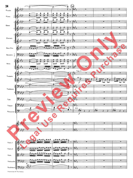 Procession of the Nobles | 小雅音樂 Hsiaoya Music