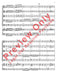 Brandenburg Concerto No. 4 (First Movement -- Abridged) 巴赫約翰‧瑟巴斯提安 協奏曲 樂章 總譜 | 小雅音樂 Hsiaoya Music