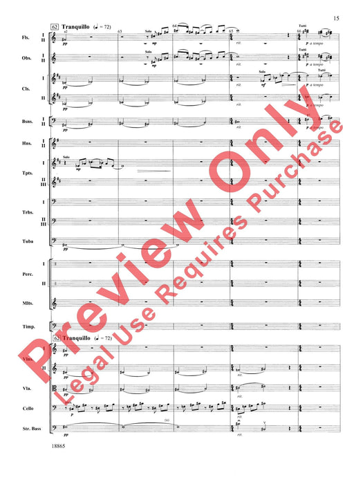 An American Rhapsody 狂想曲 | 小雅音樂 Hsiaoya Music