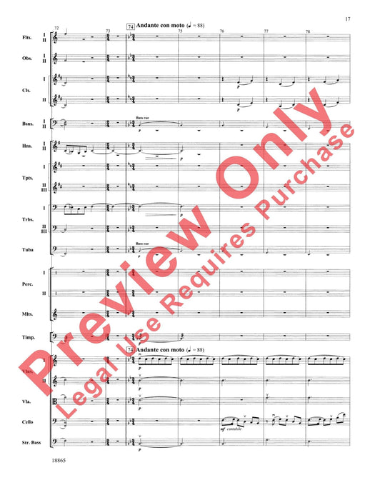 An American Rhapsody 狂想曲 | 小雅音樂 Hsiaoya Music