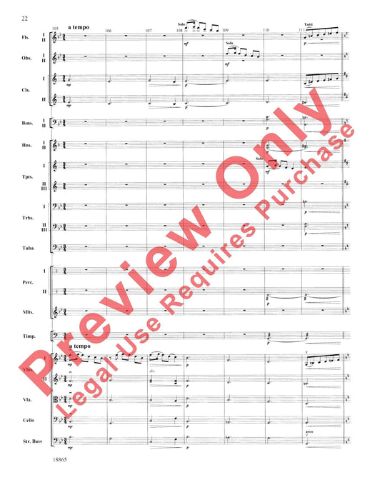 An American Rhapsody 狂想曲 | 小雅音樂 Hsiaoya Music