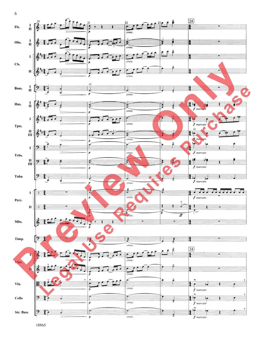 An American Rhapsody 狂想曲 | 小雅音樂 Hsiaoya Music