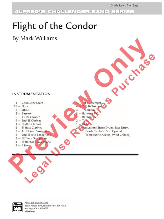 Flight of the Condor | 小雅音樂 Hsiaoya Music