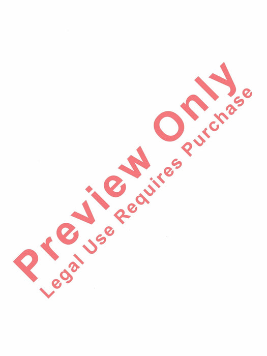 Crusader | 小雅音樂 Hsiaoya Music