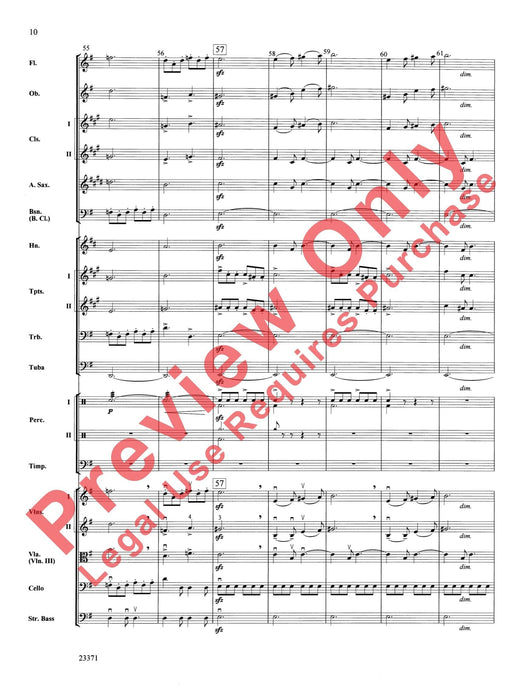 The Moldau 摩爾道河 | 小雅音樂 Hsiaoya Music