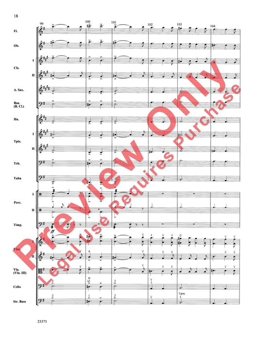 The Moldau 摩爾道河 | 小雅音樂 Hsiaoya Music