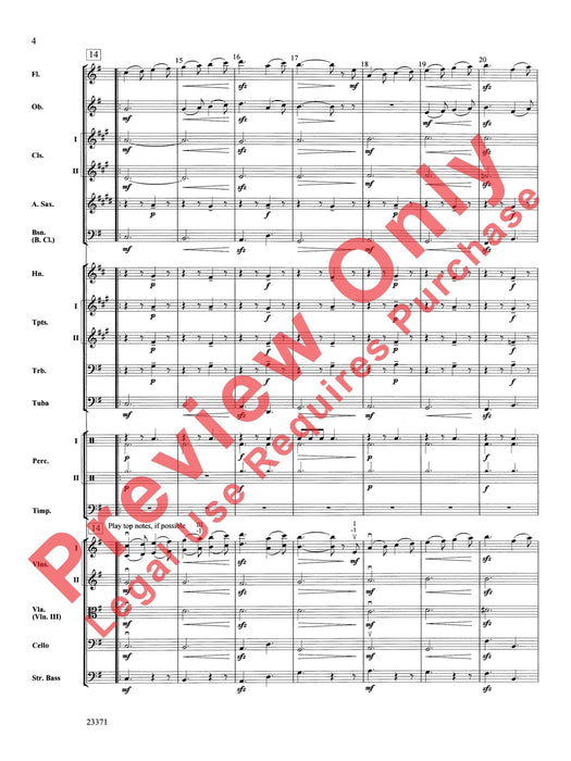 The Moldau 摩爾道河 | 小雅音樂 Hsiaoya Music