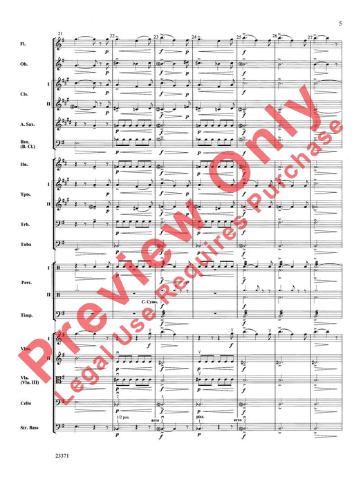 The Moldau 摩爾道河 | 小雅音樂 Hsiaoya Music