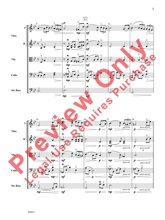 Canzone sotto le stelle | 小雅音樂 Hsiaoya Music