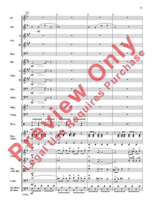 City Nights | 小雅音樂 Hsiaoya Music