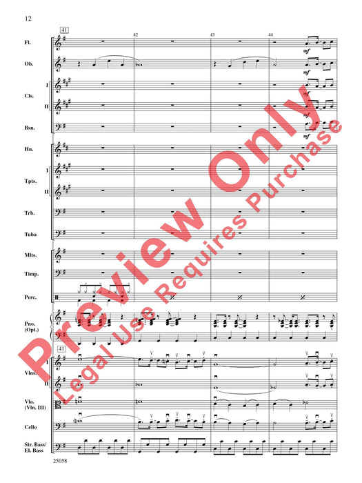 City Nights | 小雅音樂 Hsiaoya Music