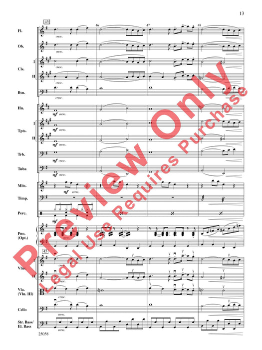 City Nights | 小雅音樂 Hsiaoya Music