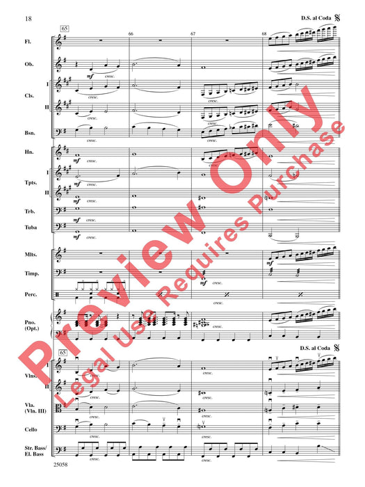 City Nights | 小雅音樂 Hsiaoya Music