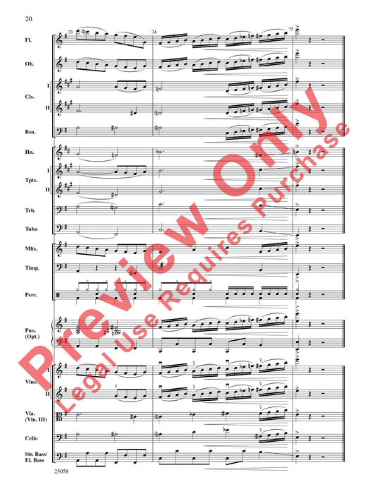 City Nights | 小雅音樂 Hsiaoya Music