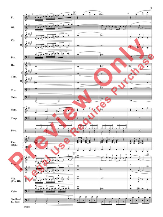 City Nights | 小雅音樂 Hsiaoya Music