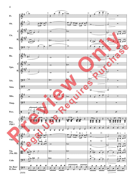 City Nights | 小雅音樂 Hsiaoya Music