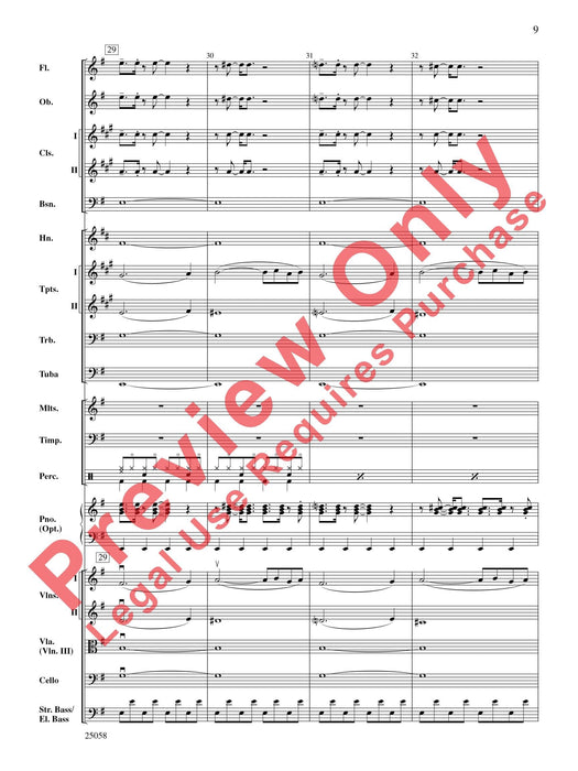 City Nights | 小雅音樂 Hsiaoya Music