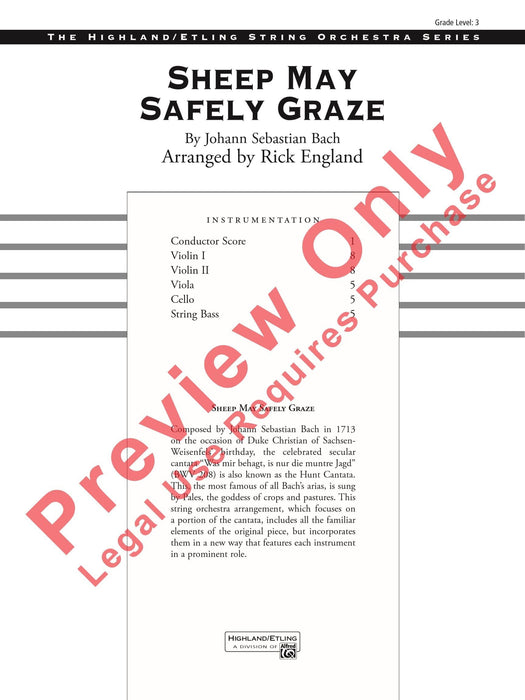 Sheep May Safely Graze | 小雅音樂 Hsiaoya Music