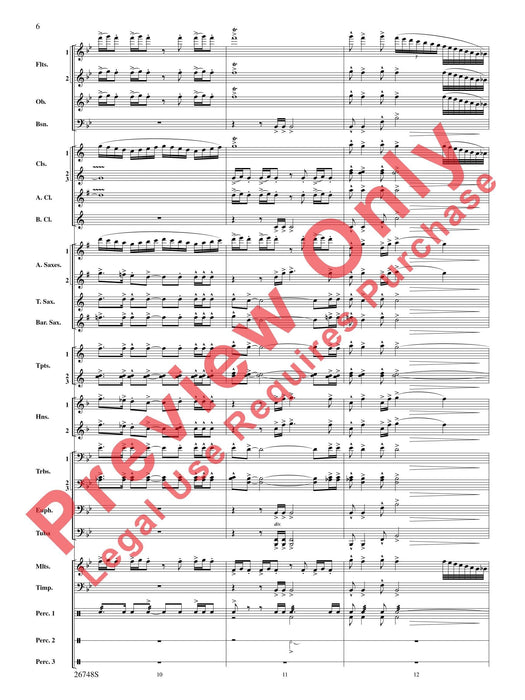 Cotton Ferry Expedition | 小雅音樂 Hsiaoya Music