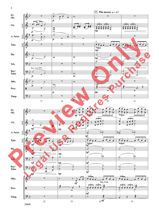 Largo from New World Symphony 德弗札克 交響曲 | 小雅音樂 Hsiaoya Music