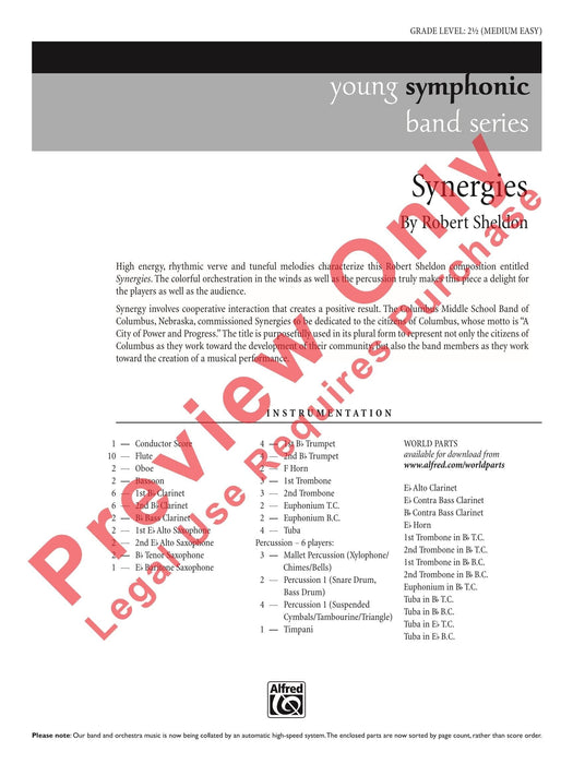 Synergies 總譜 | 小雅音樂 Hsiaoya Music