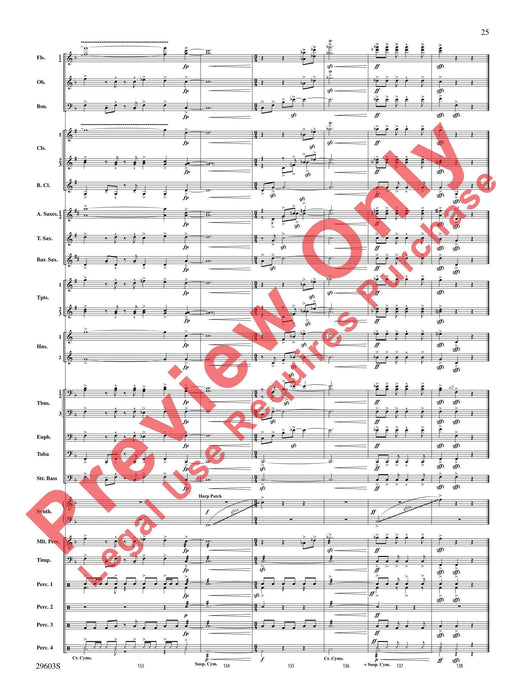 Dillon's Flight | 小雅音樂 Hsiaoya Music