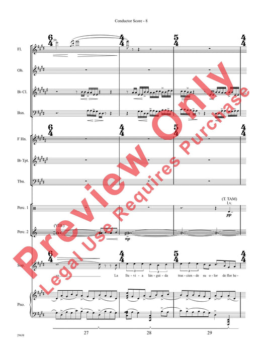 Three Spanish Songs (for Soprano and Wind Ensemble) 管樂團 | 小雅音樂 Hsiaoya Music