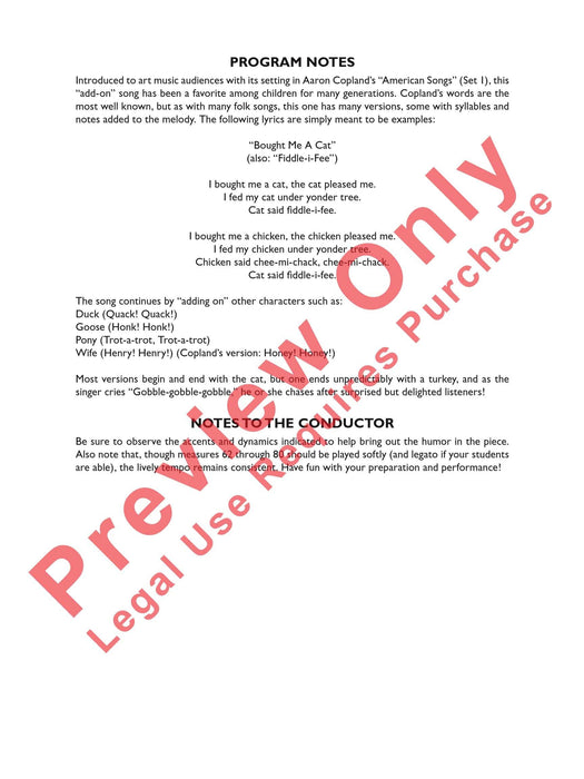 Bought Me a Fiddle 提琴 | 小雅音樂 Hsiaoya Music