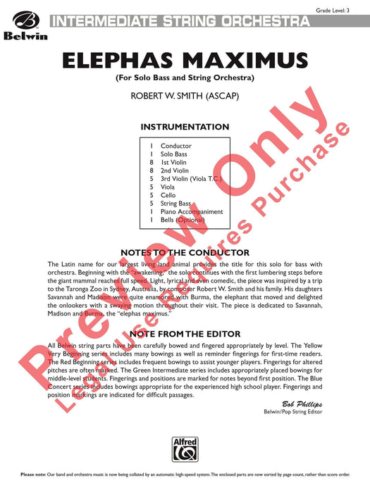 Elephas Maximus (For Solo Bass and String Orchestra) 獨奏 弦樂團 | 小雅音樂 Hsiaoya Music